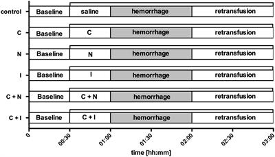 Local carbachol application induces oral microvascular recruitment and improves gastric tissue oxygenation during hemorrhagic shock in dogs